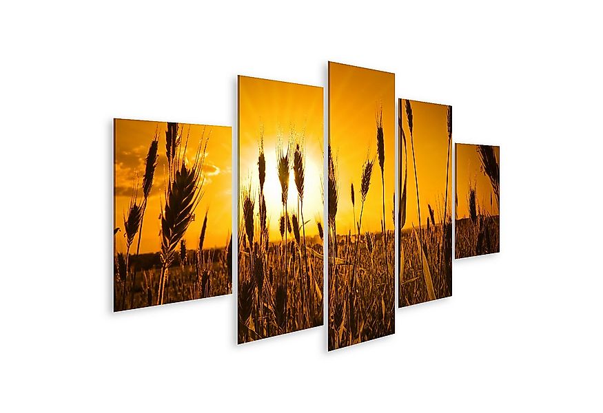 islandburner Leinwandbild sonne landwirtschaft hintergrund brot getreide fa günstig online kaufen