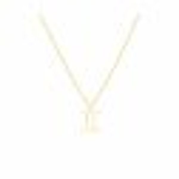 Anhänger mit Kette 925-Sterling Silber vergoldet Glänzend 42cm Zwilling günstig online kaufen