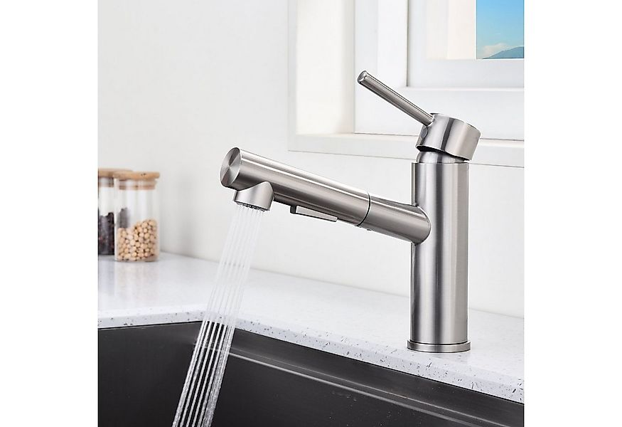 HOMELIVE Spültischarmatur Küchenarmatur Ausziehbarer Küchenhahn mit 2 Auslä günstig online kaufen