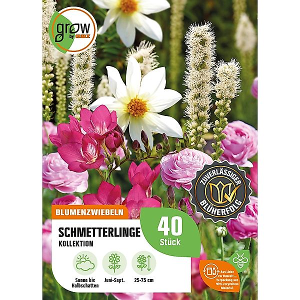 GROW by OBI Schmetterlinge-Kollektion Höhe ca. 25 cm - 75 cm günstig online kaufen