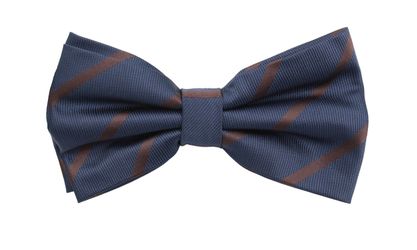 Fabio Farini Fliege Unterschiedliche Blaue Herren günstig online kaufen