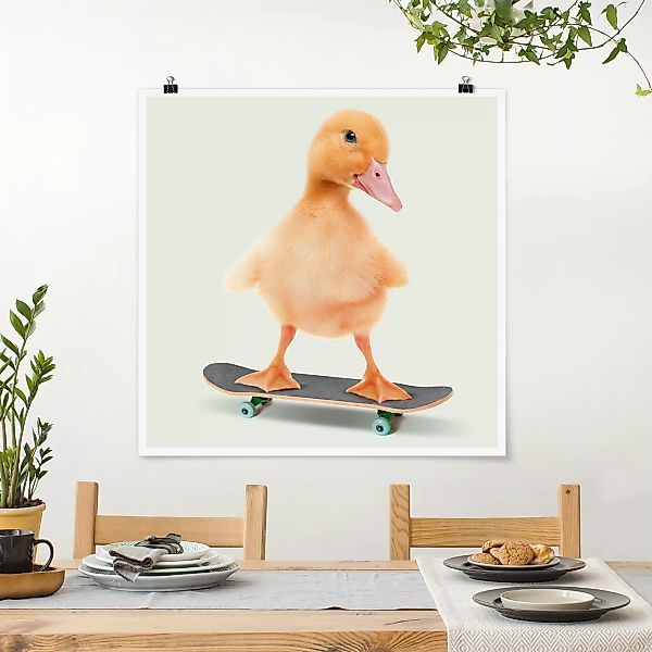 Poster Skate Ente günstig online kaufen