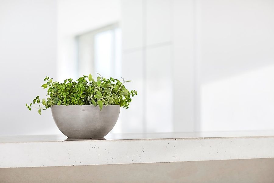 ECOPOTS Blumentopf BRUSSELS Taupe, BxTxH: 25x25x12 günstig online kaufen
