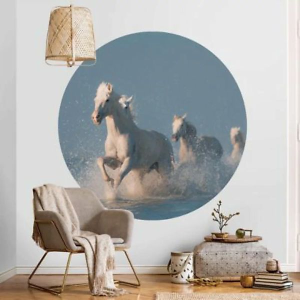 Bilderwelten Runde Tapete selbstklebend Schimmelherde weiß Gr. 225 x 225 günstig online kaufen
