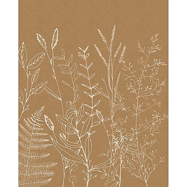 Komar Fototapete Herbs Garden Beige 200 x 250 cm 611184 günstig online kaufen