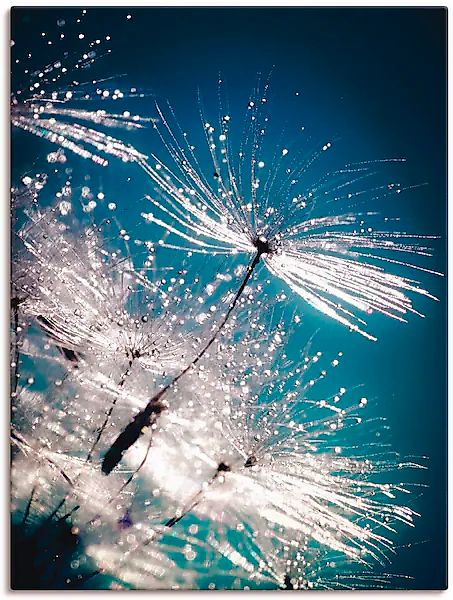 Artland Wandbild "Pusteblume Kristallschirmchen", Blumen, (1 St.), auf Keil günstig online kaufen