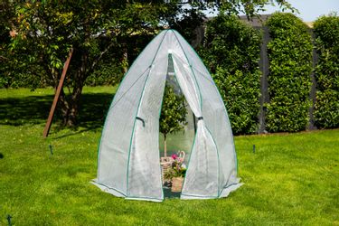 50NRTH Foliengewächshaus Olive, BxTxH: 160 x günstig online kaufen