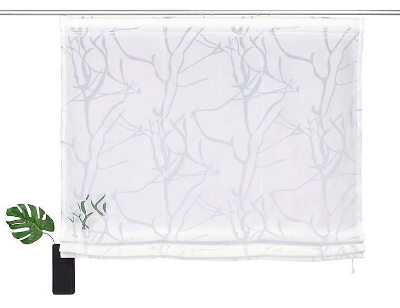 my home Raffrollo "Anna" mit Klettband Halbtransparent, Ausbrenner, Viskose günstig online kaufen
