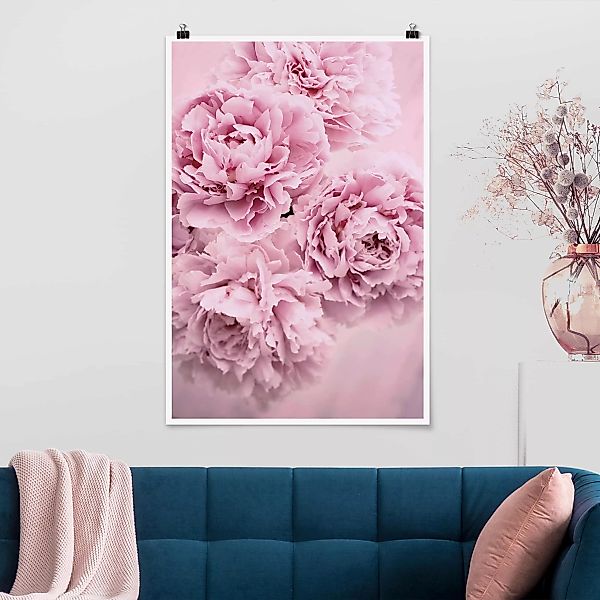 Poster - Hochformat Rosa Pfingstrosen günstig online kaufen