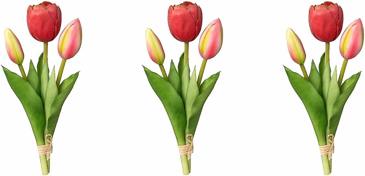 my home Kunsttulpe "Tulpenbund" günstig online kaufen