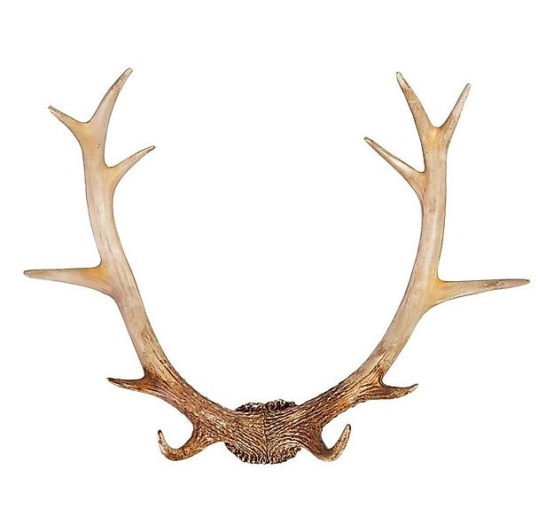 Hansmeier Wanddekoobjekt Geweih Rustikal, Für Innen & Außen Deko Hirschgewe günstig online kaufen