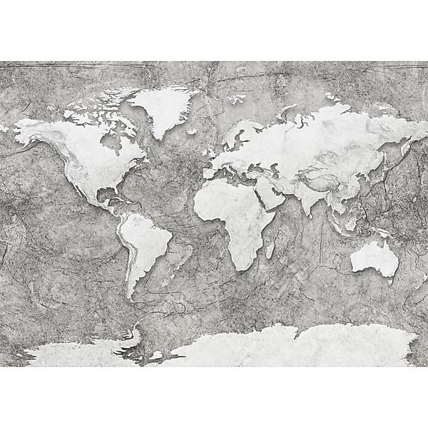 Komar Fototapete World Relief Grau 350 x 250 cm 611635 günstig online kaufen
