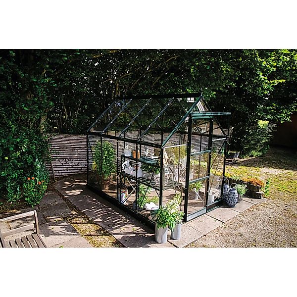 Halls Gewächshaus Icon 6 Grün 4,9 m² günstig online kaufen