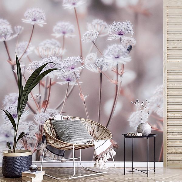Bilderdepot24 Fototapete Blumen Wildblumen Blumentapete Floral günstig online kaufen
