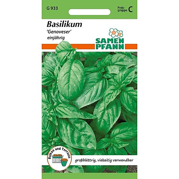 SAMEN PFANN Basilikum Genoveser günstig online kaufen