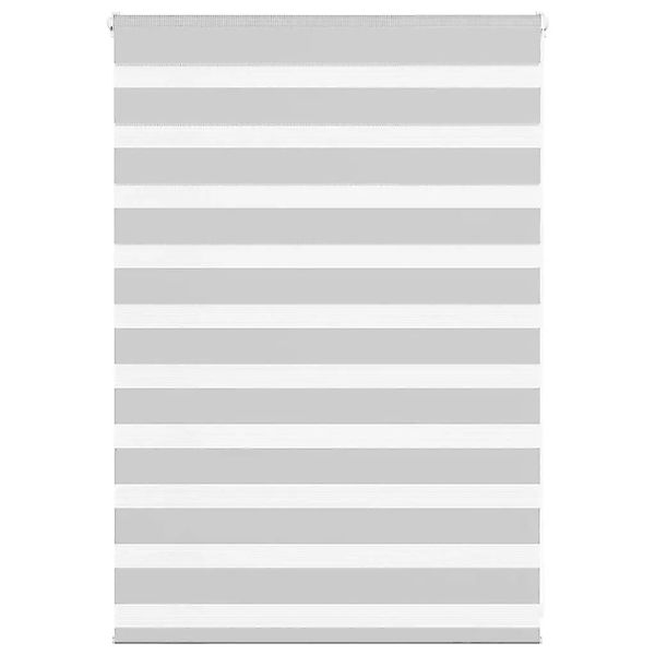 vidaXL Doppelrollo Hellgrau 95x100 cm Stoffbreite 90,9 cm Polyester 4014416 günstig online kaufen