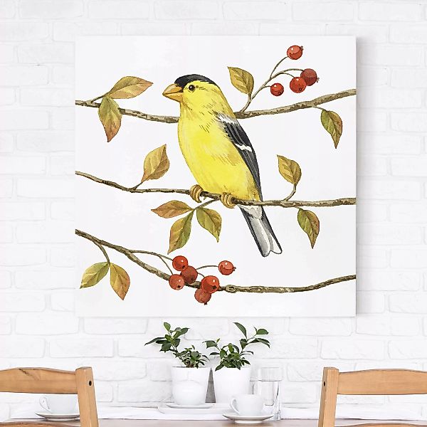 Leinwandbild Tiere - Quadrat Vögel und Beeren - Goldzeisig günstig online kaufen