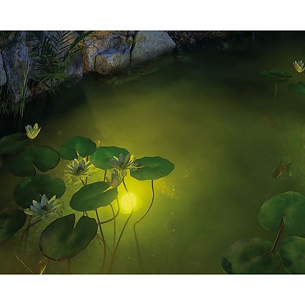 Paulmann LED Teichleuchte "Plug & Shine", 1 flammig, Leuchtmittel LED-Modul günstig online kaufen