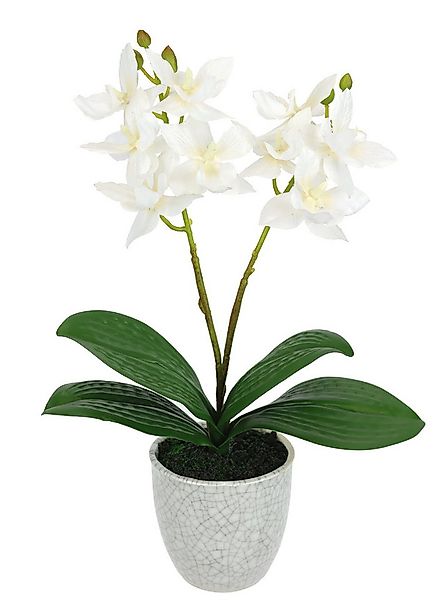 Kunstorchidee Künstliche Orchidee mit Topf, I.GE.A., Höhe 30 cm, Dekoblume günstig online kaufen