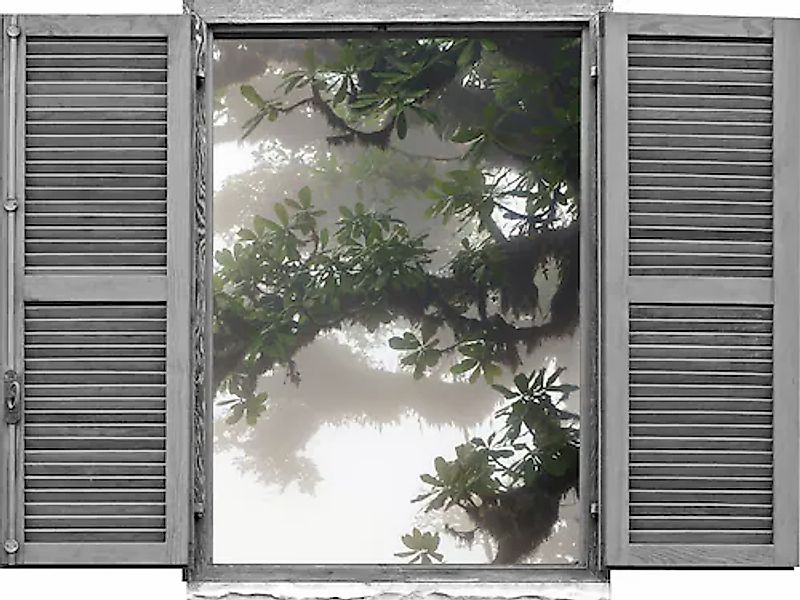 queence Wandtattoo »Asiatischer Baum« Wandsticker, Wandbild, selbstklebend, günstig online kaufen