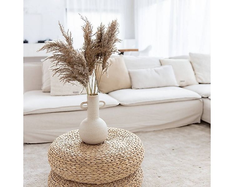 Trockenblume Pampasgras Shorty Pampasgras, LYKKE & You, Naturbelassen und g günstig online kaufen