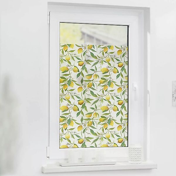 LICHTBLICK Fensterfolie Limone  Limone gelb grün B/L: ca. 50x50 cm günstig online kaufen