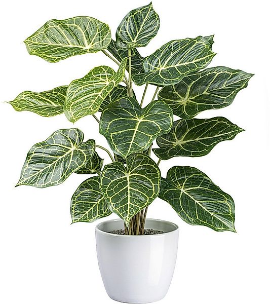 Künstliche Zimmerpflanze Nephtytispflanze Grünpflanze, Creativ green, Höhe günstig online kaufen