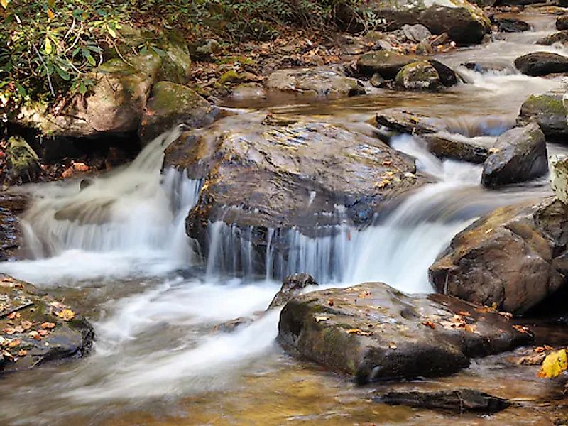 Papermoon Fototapete »WASSERFALL-BÄUME FLUSS SEE STEINE BLUME WALD BACH SON günstig online kaufen