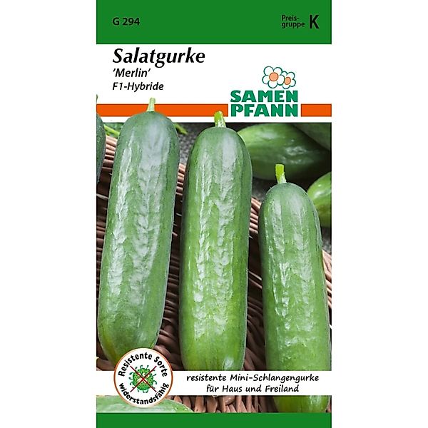 SAMEN PFANN Salatgurke Merlin F1 günstig online kaufen