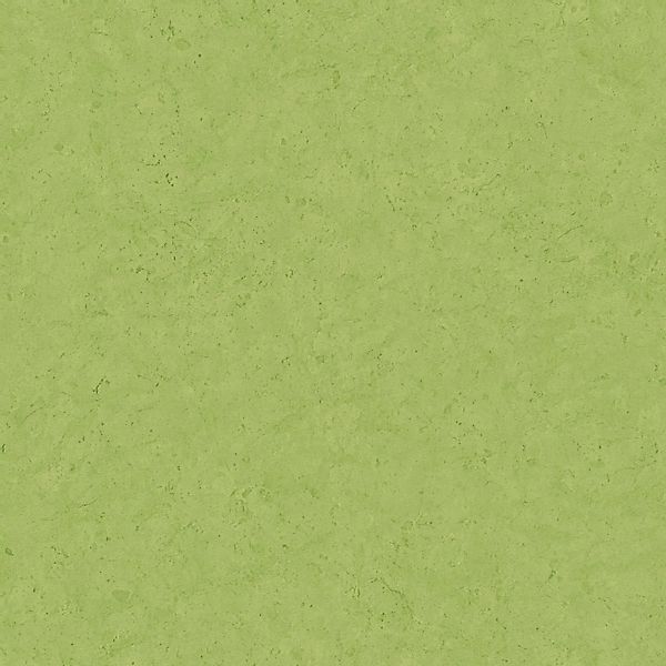 PROFHOME 378658-GU Ton-in-Ton Tapete Uni Matt Grün 0,53 m x 10,05 m 5,33 m2 günstig online kaufen