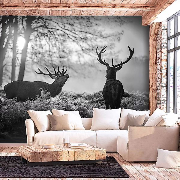 home24 Vlies Fototapete Deers in the Morning günstig online kaufen
