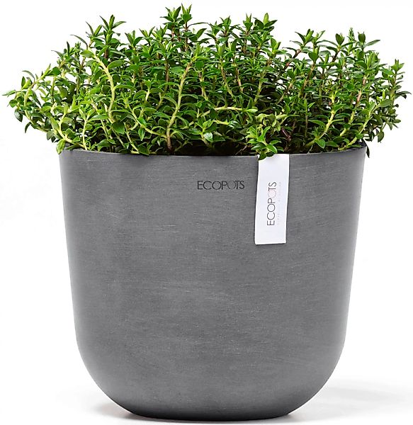 ECOPOTS Blumentopf "Oslo Mini 19 Grau", für den Innenbereich günstig online kaufen