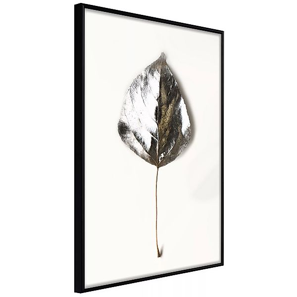 Poster - Silvery Leaf günstig online kaufen
