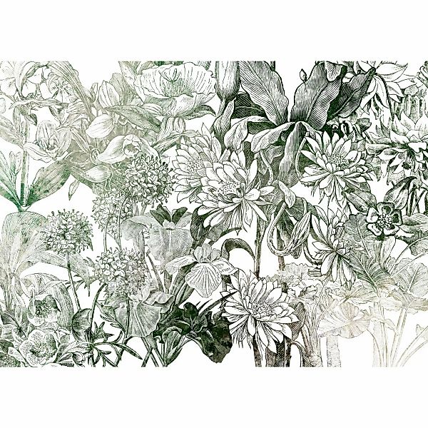 Komar Vliesfototapete Valerie 350 cm x 250 cm günstig online kaufen