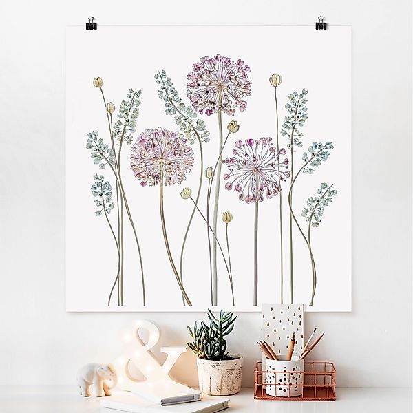 Poster - Quadrat Allium Illustration günstig online kaufen