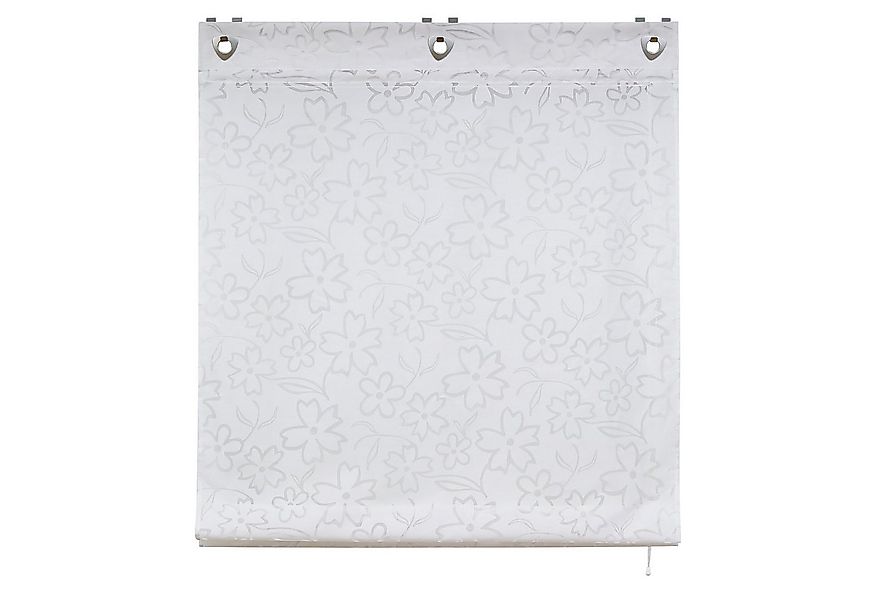 Delien Raffrollo Lea, mit Hakenaufhängung, Voile Ösenrollo Ausbrenner günstig online kaufen