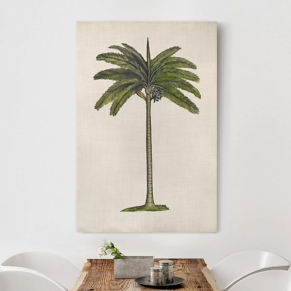Leinwandbild Botanik - Hochformat Britische Palmen IV günstig online kaufen