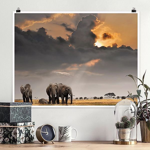 Poster Tiere - Querformat Elefanten der Savanne günstig online kaufen