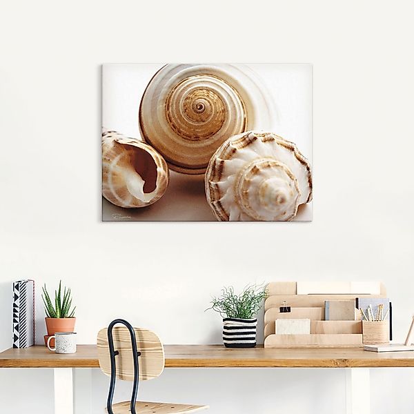 Artland Wandbild »Muschelkomposition I«, Wassertiere, (1 St.), als Leinwand günstig online kaufen