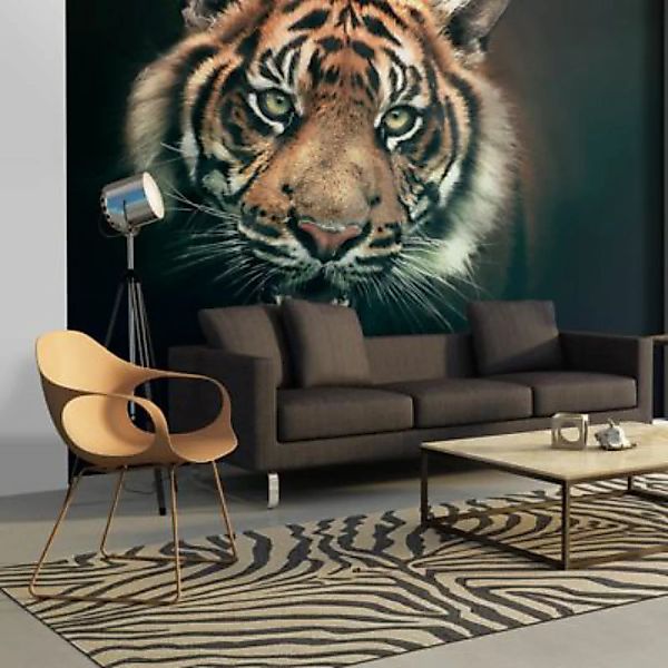 artgeist Fototapete Bengal Tiger mehrfarbig Gr. 350 x 270 günstig online kaufen