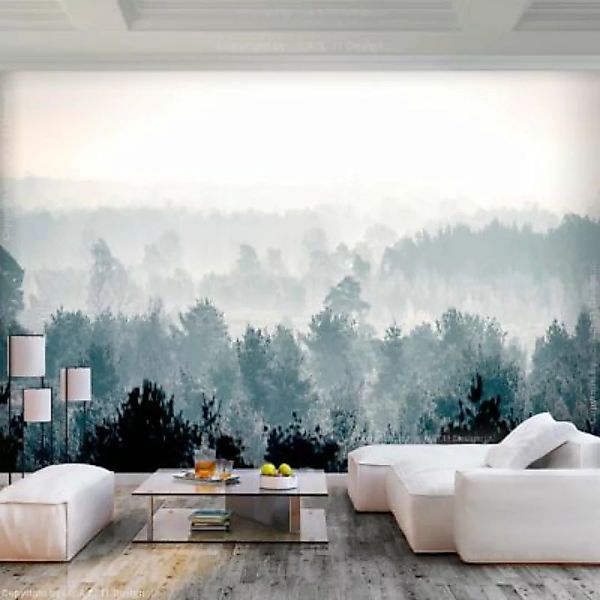 artgeist Fototapete Winter Forest mehrfarbig Gr. 150 x 105 günstig online kaufen