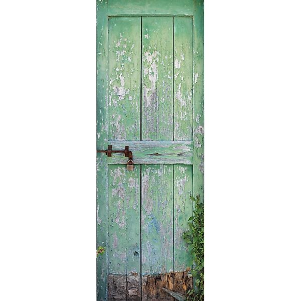 Komar Fototapete Vlies Gartentür  100 x 280 cm günstig online kaufen