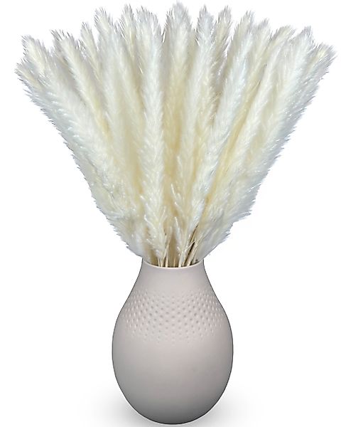 Trockenblume Trockenblume Pampasgras Deko weiß 45cm günstig online kaufen