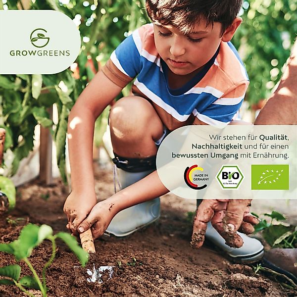 Growgreens Gemüsesamen BIO Blumenkohl Samen (Schneeball) günstig online kaufen