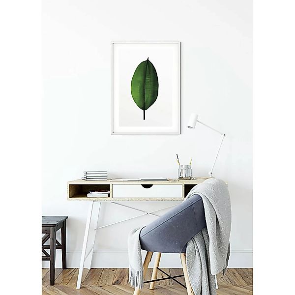 KOMAR Wandbild - Ficus Leaf - Größe: 50 x 70 cm mehrfarbig Gr. one size günstig online kaufen