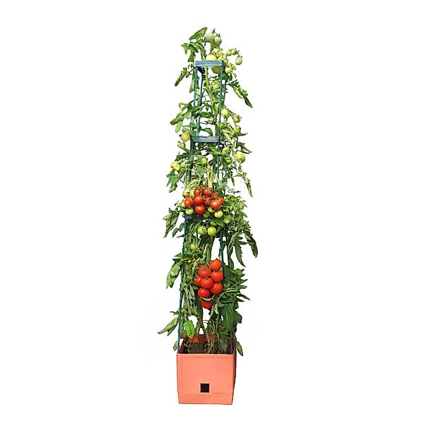 Bio Green Anzuchttopf Pflanzenturm mit Rankhilfe günstig online kaufen