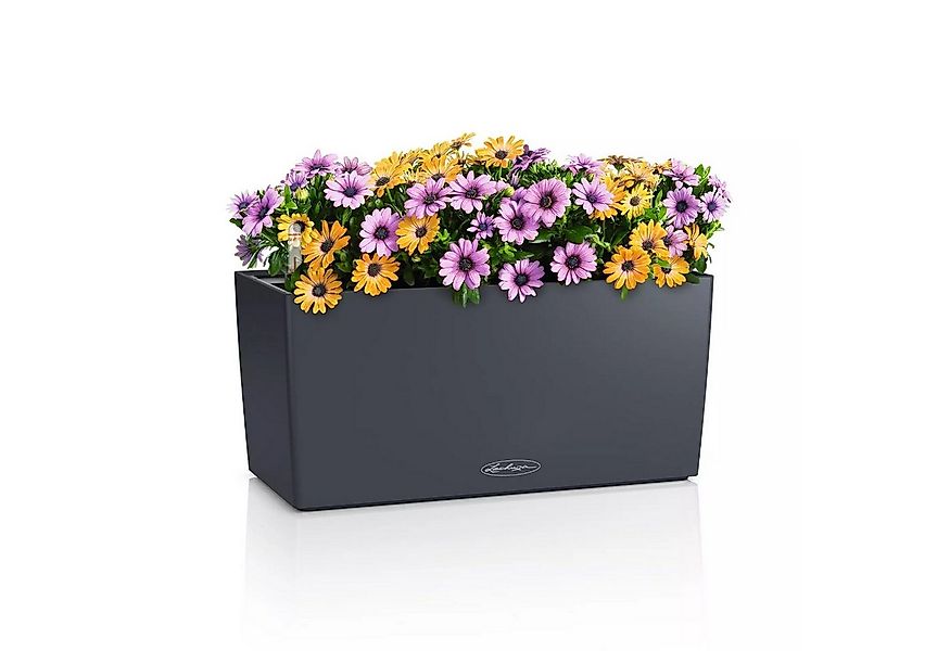 Lechuza® Balkonkasten Balconera Color 40 schiefergrau günstig online kaufen