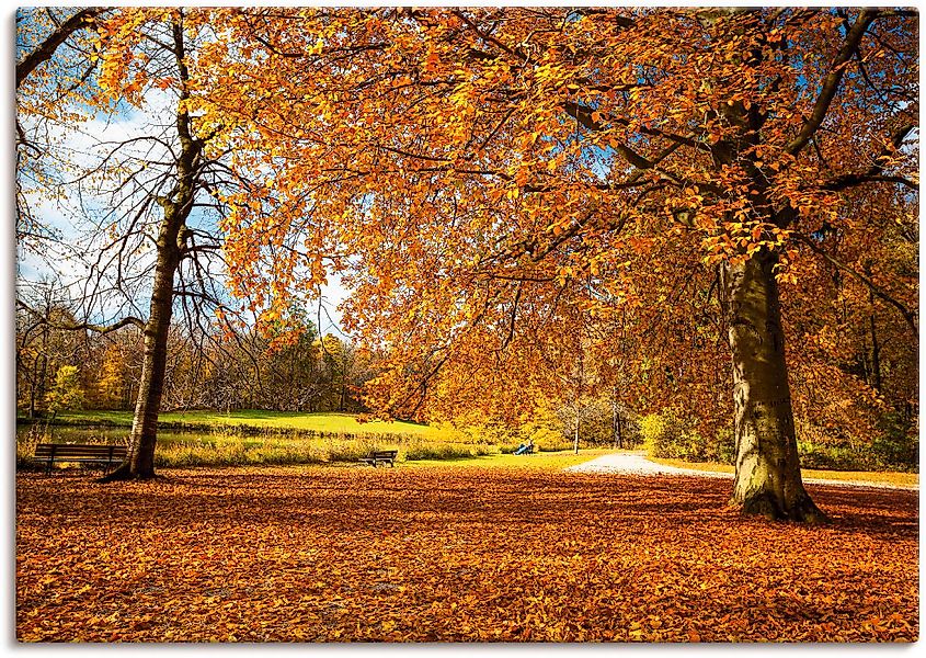 Artland Wandbild »Herbst bei Schlosses Nymphenburg« Wiesen & Bäume 1 Stk. t günstig online kaufen