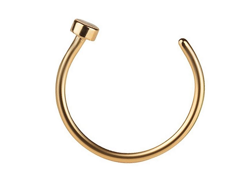 Taffstyle Nasenpiercing Fake Ring Piercing Hoop Septum Lippe Brust Intim, N günstig online kaufen
