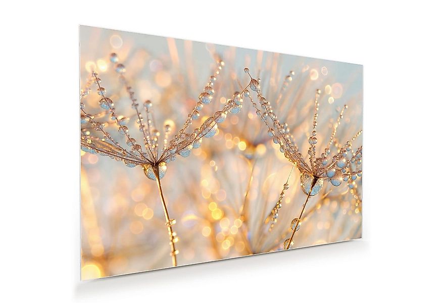 Primedeco Glasbild Wandbild Tautropfen Panorama mit Aufhängung, Blumen & Pf günstig online kaufen